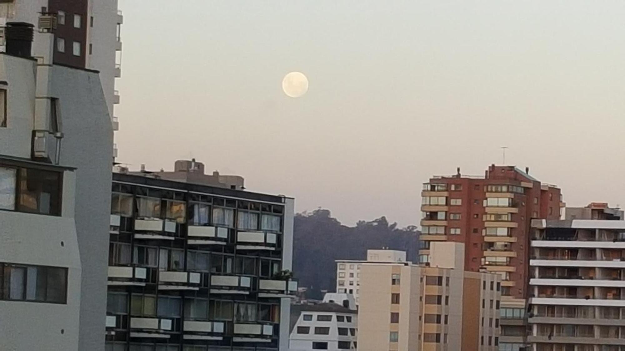 Edificio Maya Vina del Mar Pokój zdjęcie